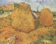 Vincent Van Gogh Haystacks in Provence (nn04) china oil painting artist